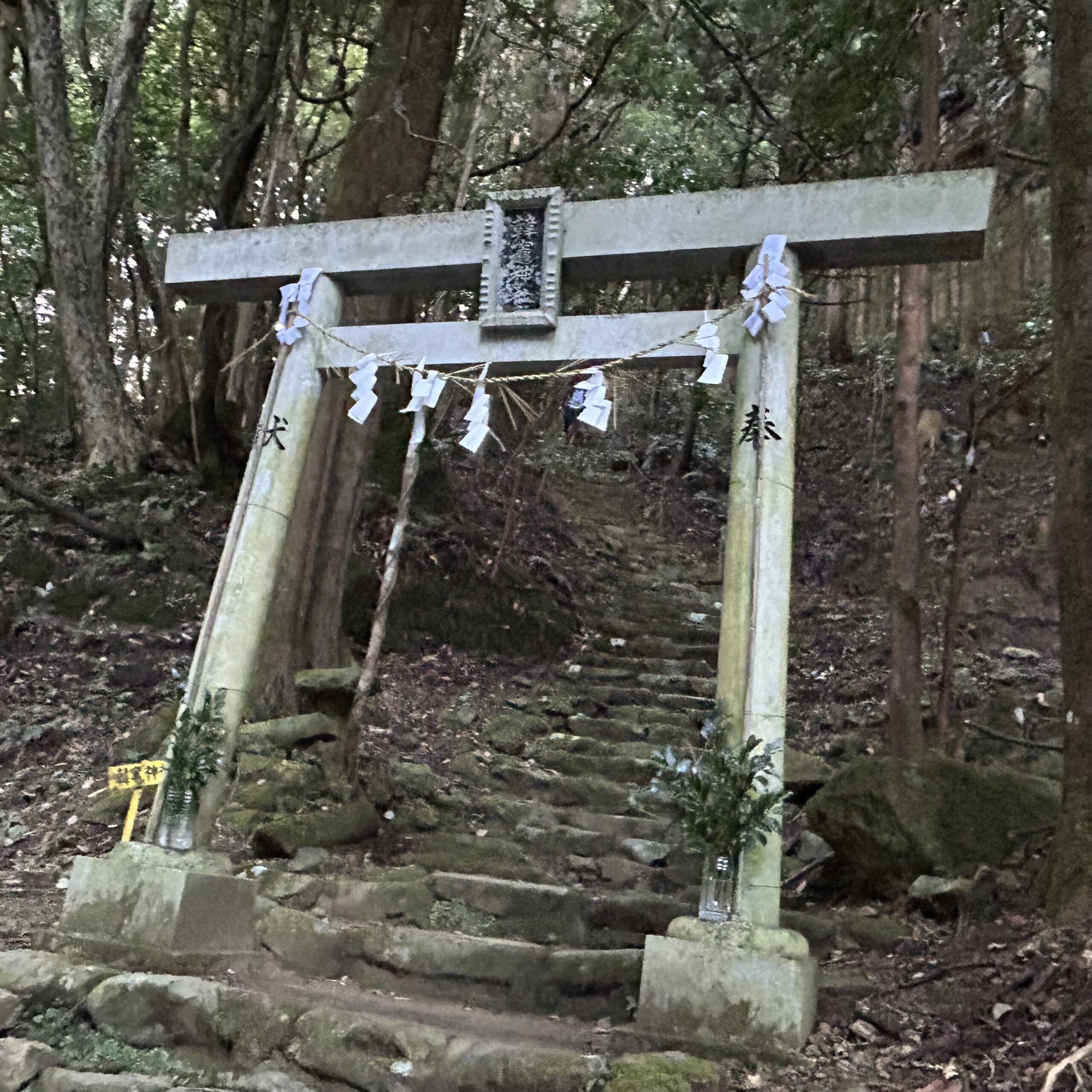 韓竈神社の御朱印をもらおう！神社の由緒や所要時間・お守り情報も紹介